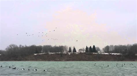 Lake Michigan Duck Hunting 2014 2 Youtube