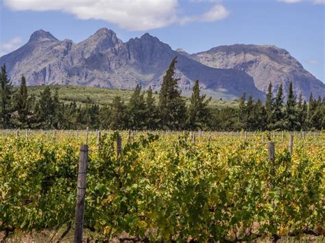 Discover South Africa Cape Town Winelands Johannesburg And Tswalu