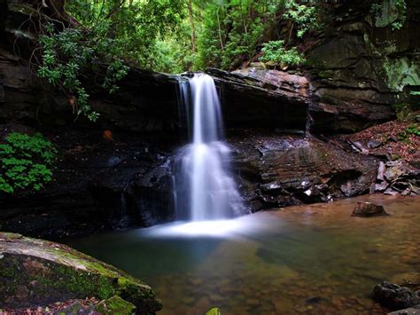 Holly river state park near flatwoods, wv, in webster county, protects 8,101 of remote mountain forest and is the second largest state park in west virginia. Holly River State Park, a West Virginia State Park