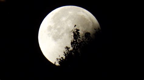 무료 이미지 자연 하늘 밤 분위기 어두운 보름달 월광 원 천문학 식 초승달 천체 달과 단풍 천계의