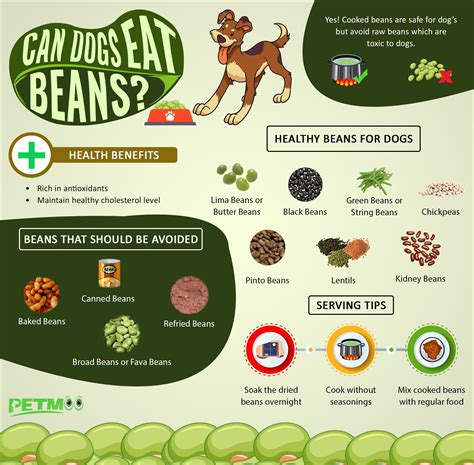 In moderation, and assuming it is cooked properly, it is perfectly safe to. Can dogs have green beans.