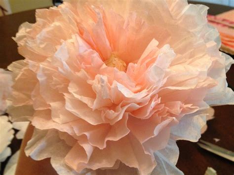With patreon, it's not about likes and views, you can really connect with your fans, ignore the haters and focus on the positive. coffee filter peonies | Coffee filter flowers diy, Coffee ...