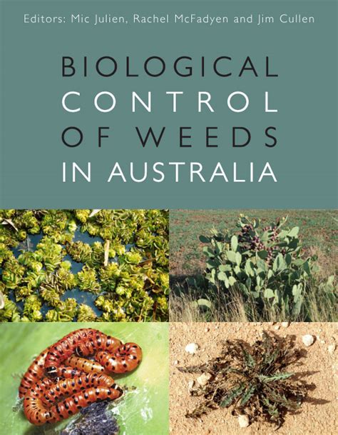 Prickly pear cactus has been a mexican and central american dietary staple for thousands of years. Biological Control of Weeds in Australia, Mic Julien ...