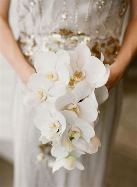 White Phalaenopsis Orchids Bouquet Bouquet Wedding Flower