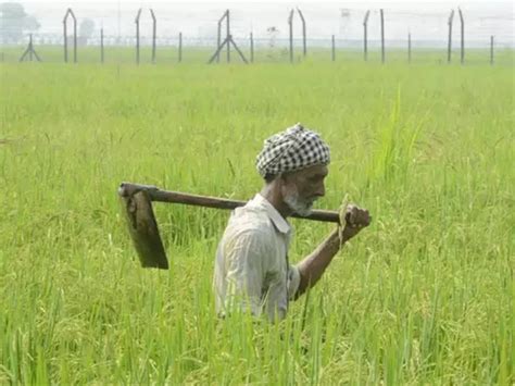 चीनने तब्बल ३० वर्षांनंतर पहिल्यांदाच भारताकडून खरेदी केला तांदूळ