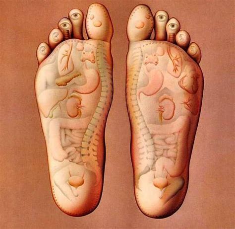 Massaging Pressure Points In Palm And Underfeet To Revitalize Organs Yoga