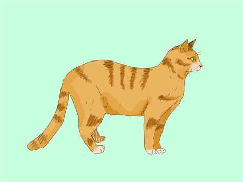 Cat Profile Picture Drawing ~ Cat Profile Drawing Bodaswasuas