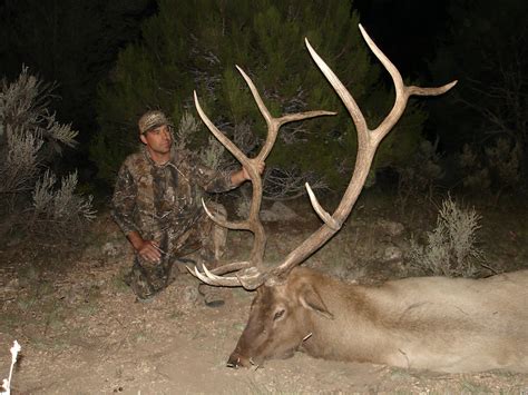 Units We Hunt Chappell Guide Service Arizona Elk Hunting
