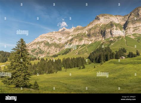 Idyllic Mountain Scenery On Schwaegalp In The Swiss Alps With Green