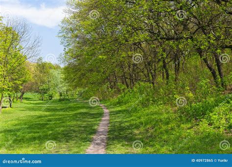 The Lonely Path Stock Image 118982899