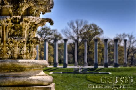 Us Capitol Columns At The National Arboretum Caryn Esplin Fine Art