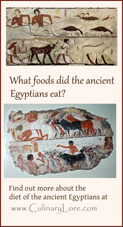 Maybe you would like to learn more about one of these? What Foods Did The Ancient Egyptians Eat? | Ancient ...