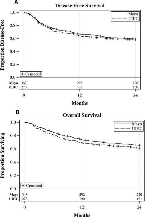 Two Year Disease Free Survival And Overall Survival For The Training