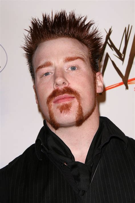 Pin Up My Hair Sheamus New Hairstyle Photo Gallery