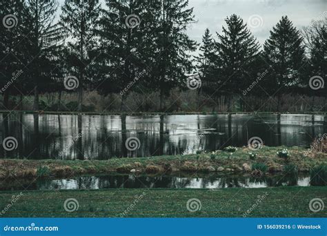 Wide Beautiful Shot Of A Lake Surrounded By Trees Stock Photo Image