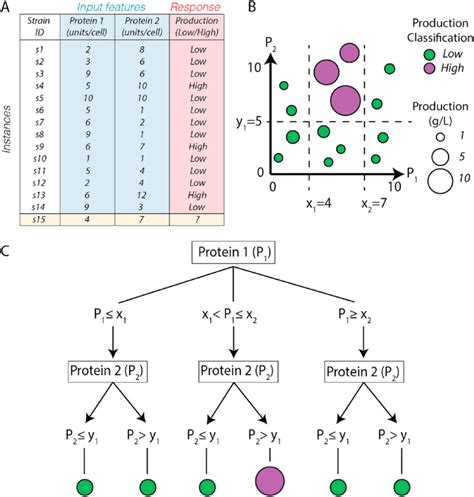 Example Of A Supervised Machine Learning Algorithm A Decision Tree