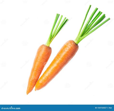 Two Carrots Isolated On White Background Full Depth Of Field Stock