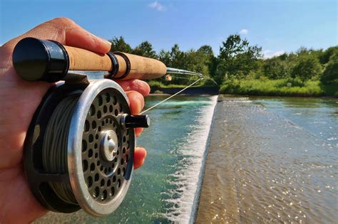 Best Centerpin Reels For Trout Fishing Positive Fishing