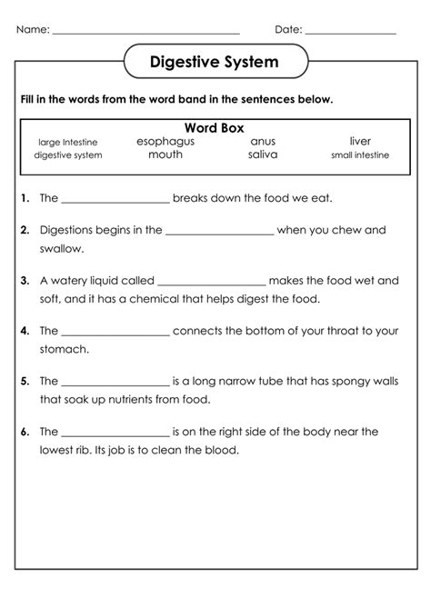 grade science worksheets  coloring pages  kids