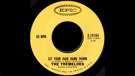 The Tremeloes Let Your Hair Hang Down YouTube