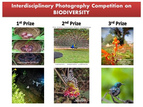 Interdisciplinary Photography Competition On Biodiversity On World