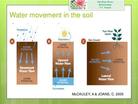 Soil Plant Water Relationships