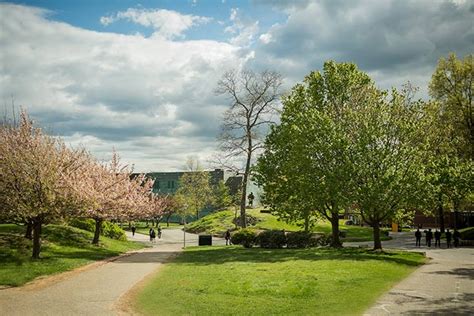 Department Of English Brandeis University