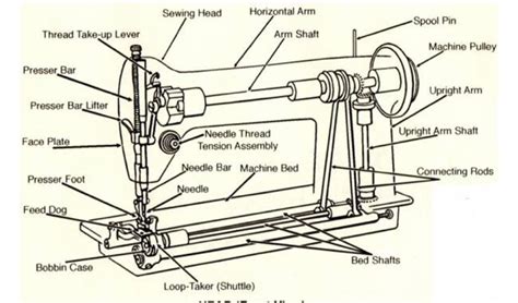 Identify The Parts Of The Lockstitch Sewing Machine Brainlyph