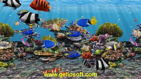 3d Fish School Aquarium Screensaver Tropical Fish Tank