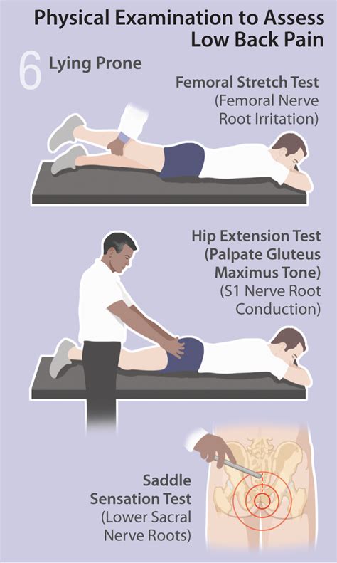 Physical Examination