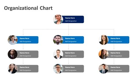 Organizational Chart Powerpoint Template Organization Chart Ppt