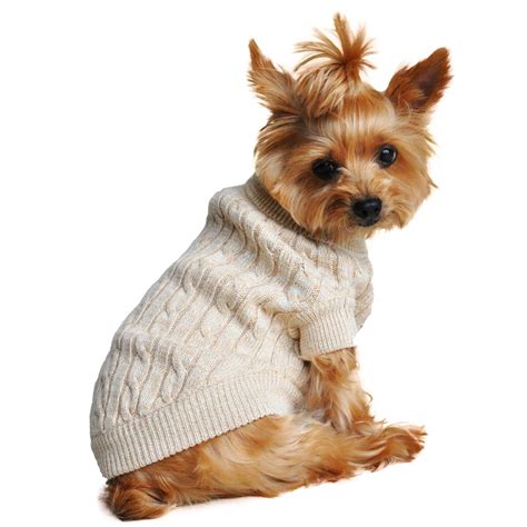 Is It Ok For Dogs To Wear Sweaters