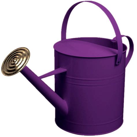 Garden Plant Flower Colour Galvanised Metal Watering Can 9 Litre With