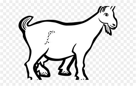 Goat Clipart Kambing Png Download 3120813 Pinclipart
