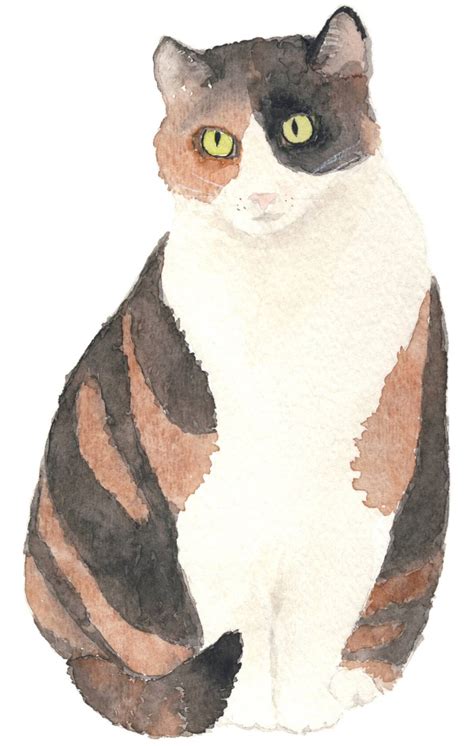 Calico Cat Watercolor Fine Art Print 8x10 Etsy