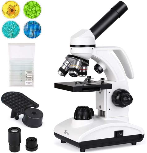 Microscopio De Luz Con Nombres