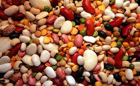 15 Common Beans And Legumes For Food Storage Bio Prepper