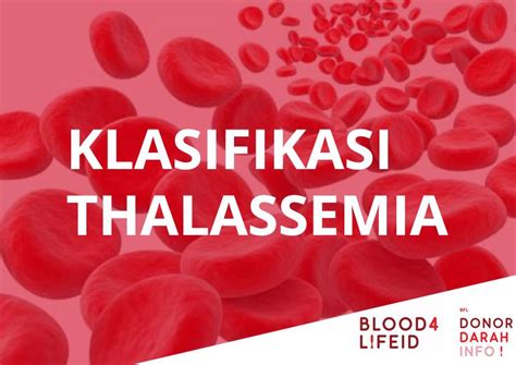 Mengenal Thalasemia Penyakit Kelainan Sel Darah Sorotan 24