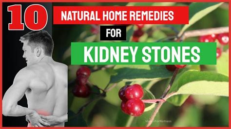 👍 Kidney Stone Pain Relief Home Remedies To Pass Those Nasty Kidney
