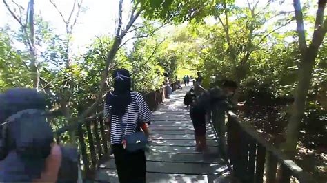 Jalan Jalan Di Wisata Mangrove Bozem Wonorejo Surabaya Youtube