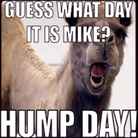 Hump Day Quotes For Facebook Quotesgram