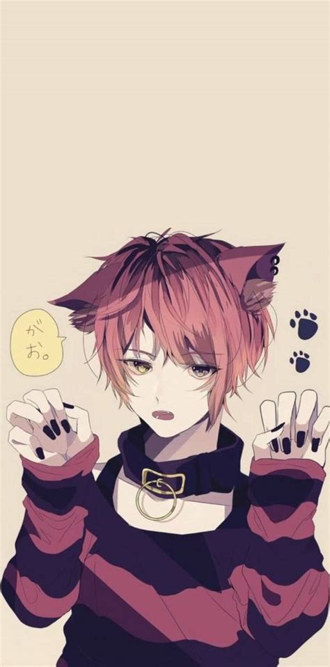 Anime Catboy Wallpapers Wallpaper Cave