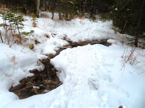 Outdoor Diversion Prime Trail Conditions To Mount Isolation