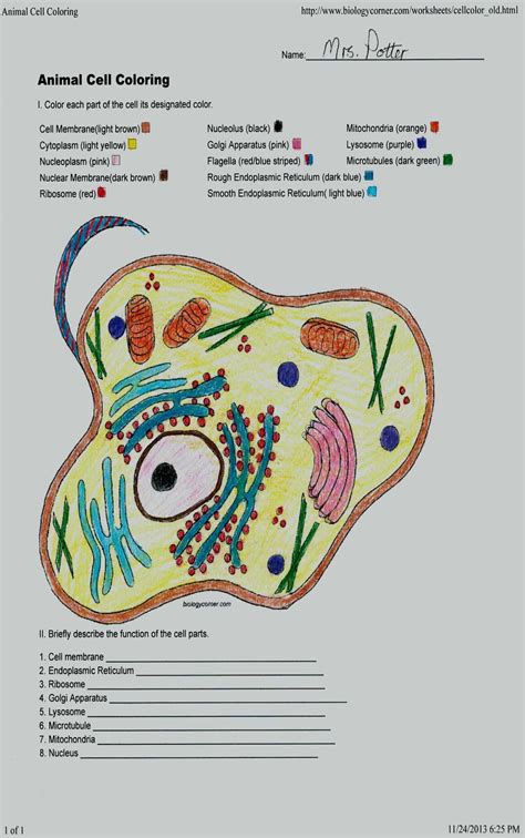 Unthinkable plant cell coloring detailed color diagram of a wiring. Beautiful Animal Cell Coloring Answer | Posting