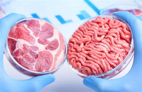 Cultured Meat Ajp Victoria 2022