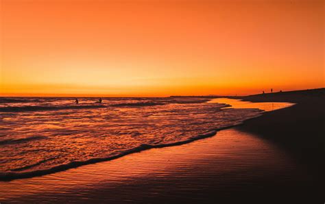 Seashore During Golden Hour · Free Stock Photo