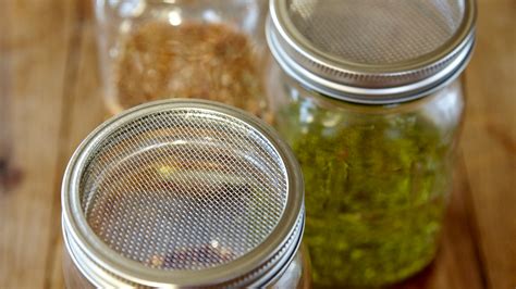 How To Grow Sprouts With Diy Sprouting Jars