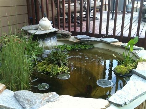 We Have A Hot Tub Turned Into A Pond Great Addition To My Backyard