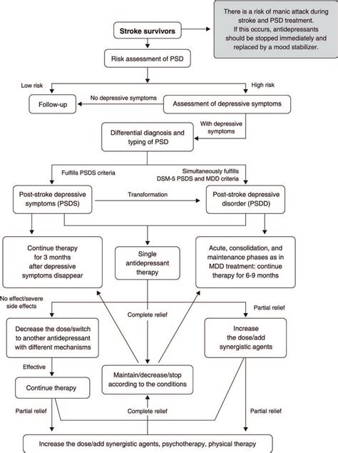 The Diagnostic And Treatment Procedures Of Psd Mdd Major Depressive