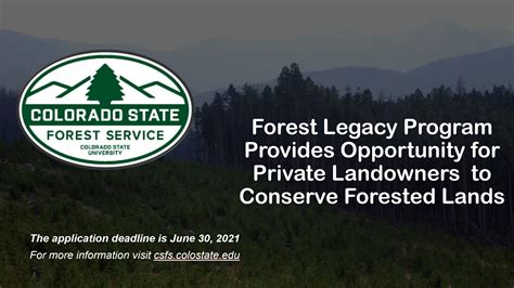 04 22 21 Csfs Forest Legacy Program Provides Opportunity For Private